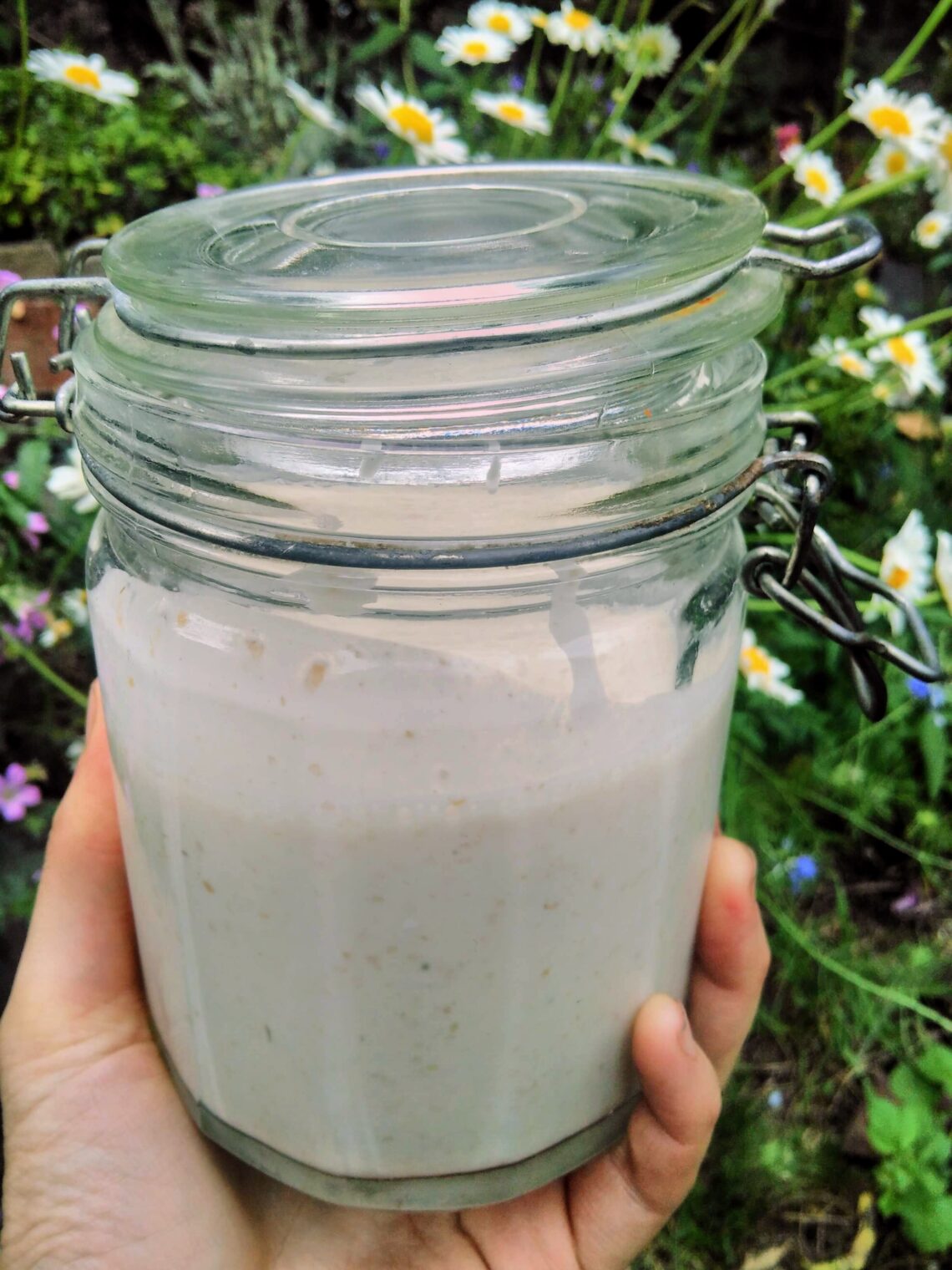 a jar fo sourdough starter and soem flowers