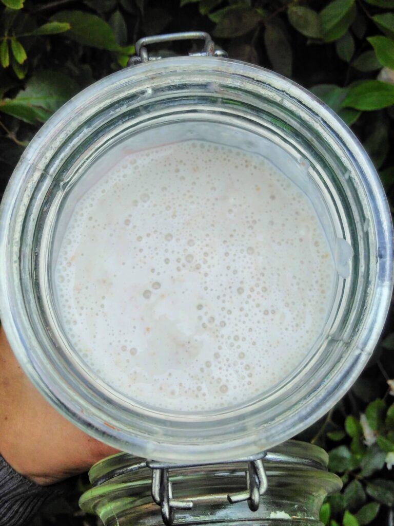 inside a jar of sourdough starter